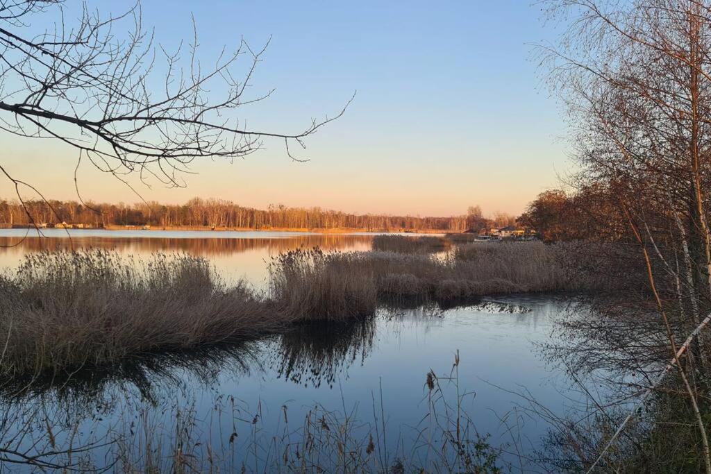 Wake Domek Blue House Januszkowice Januszkowice  Zewnętrze zdjęcie