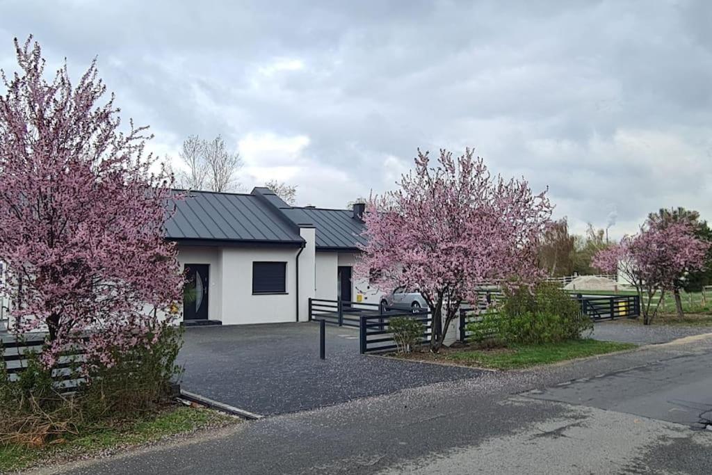 Wake Domek Blue House Januszkowice Januszkowice  Zewnętrze zdjęcie